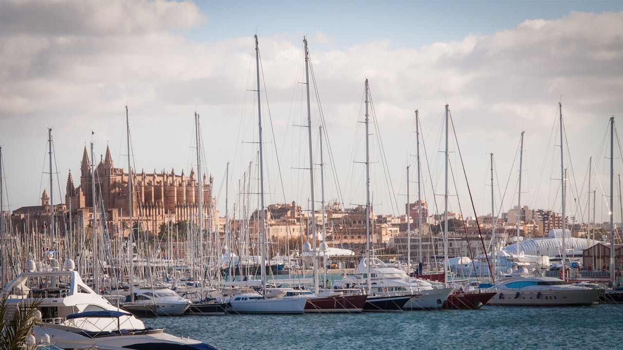 services-01 Scenic view of Palma's marina with yachts and the Cathedral in the background.